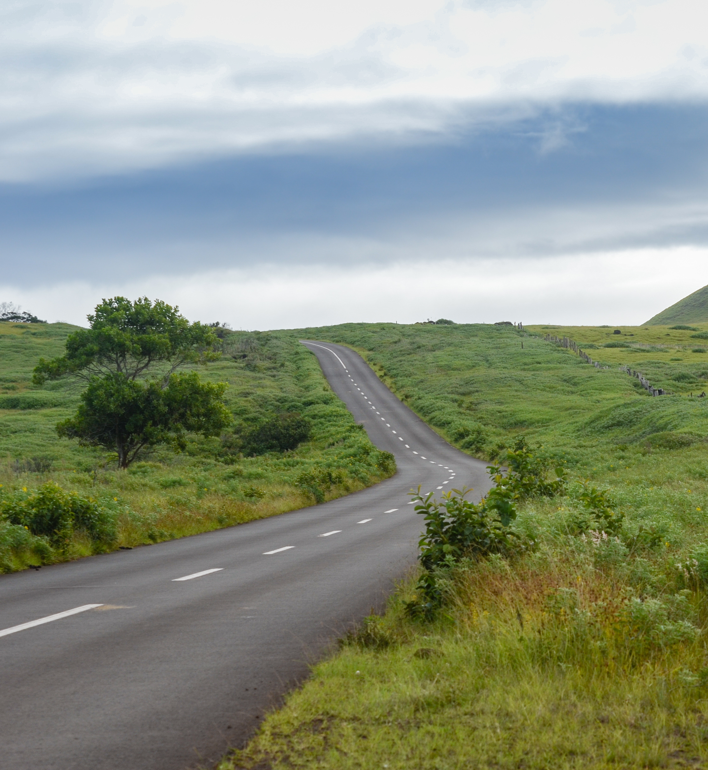 turning-road-in-the-uruguayan-countryside-2023-01-12-23-57-00-utc-cropped